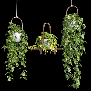 Modern hanging basket hanging plant 3d model