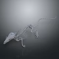 Detailed Rat Skeleton Anatomical Model Isolated On Dark Background For Scientific Study 3d model