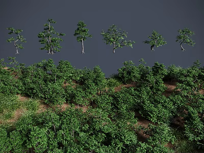 Various Types Of Green Shrubs With Different Forms And Dense Green Foliage Growth 3d model
