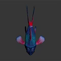 Vibrant Blue And Pink Tropical Fish With Colorful Fins Tail And Body
