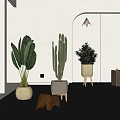 Indoor Bonsai Potted Plants Featuring Large Leafy Cactus Small Greenery in White Wooden Planters
