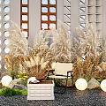 Plant Combination Featuring Tall Feathery Low Green Plants Gray Wall Light Chair Round White Lights