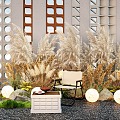 Phragmites australis plant combination wheat ear flowers and plants Pennisetum moon light plant pile 3d model