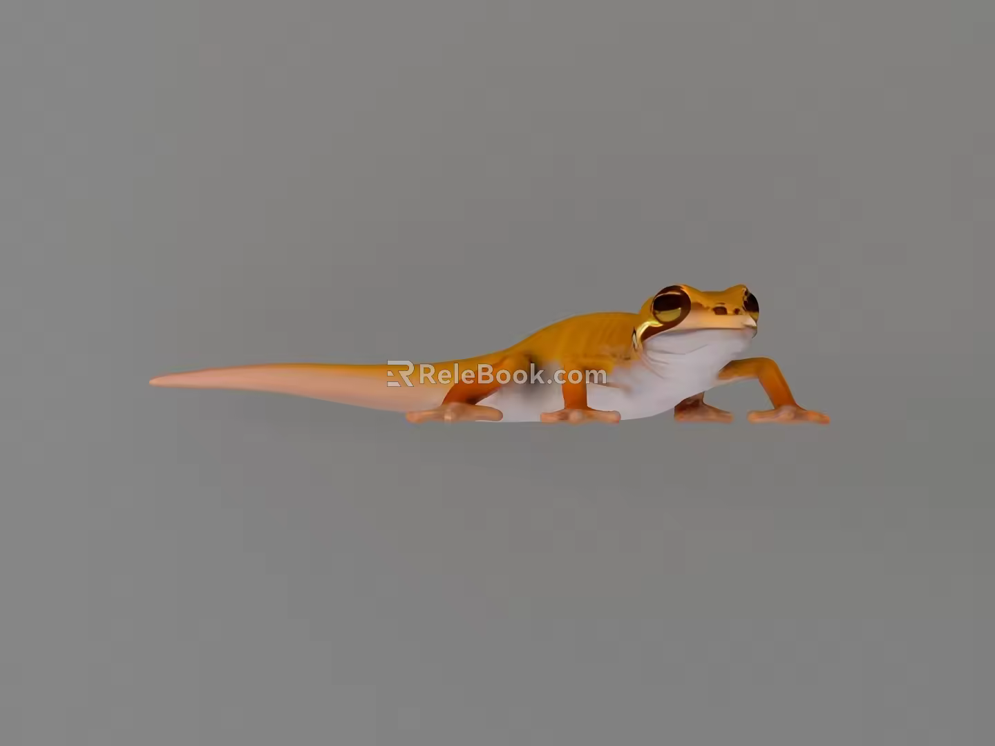 Gecko 3d model
