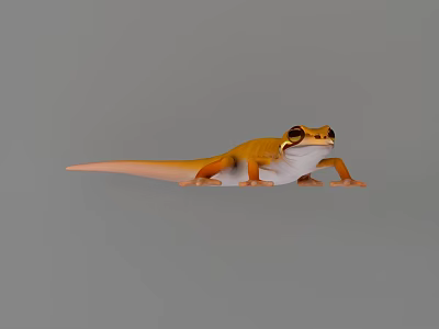 Orange Reptile Gecko with Long Tail Sharp Claws and Large Eyes Resting on Gray Background 3d model