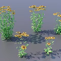 3D Rendered Yellow Flowering Plants With Green Leaves Black Centers And Shadows