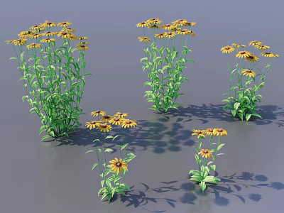Black-eyed Susan Potted Greening Plants Green Plants Indoor Plants Flowers and Plants 3d model