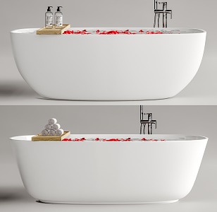 Modern Bathtub Independent Bathtub Faucet Bathroom Decoration 3d model