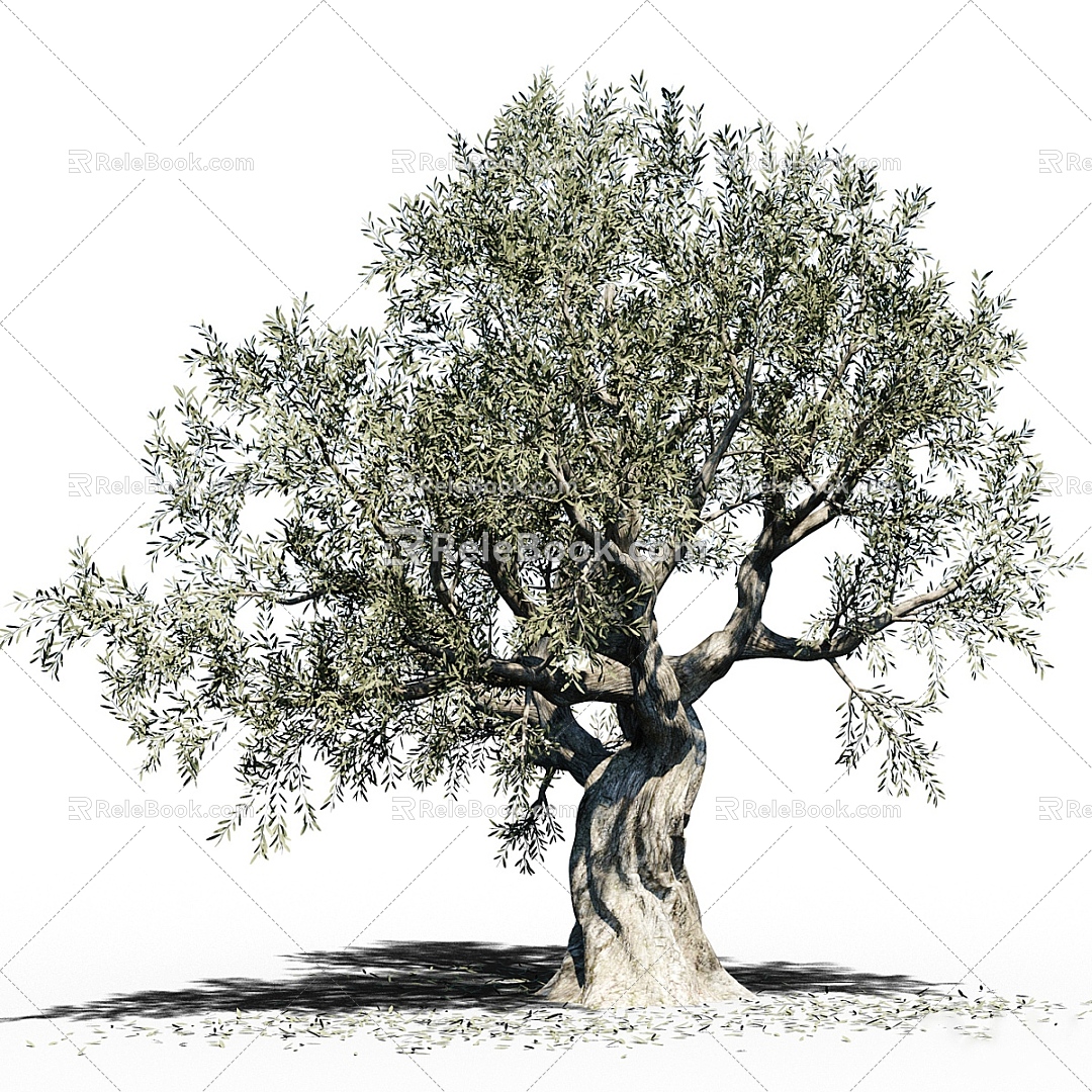 olive tree landscape tree big tree 3d model