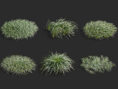 Different Types of Green Ground Cover Plants with Various Growth Forms 3d model