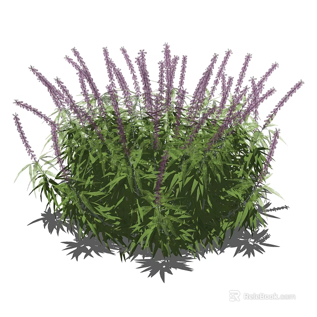Vibrant Garden Shrub Featuring Purple Flowers And Lush Green Leaves 3d model 