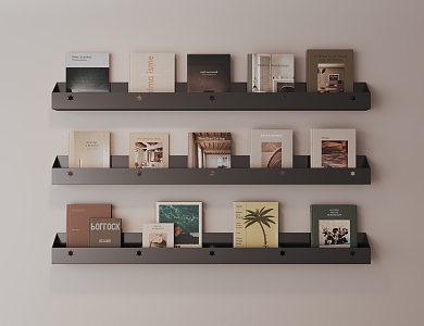 Bookshelf Books 3d model