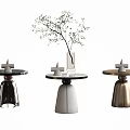 Modern side several corners several metal round several glass round several marble round several plant decoration ornaments 3d model
