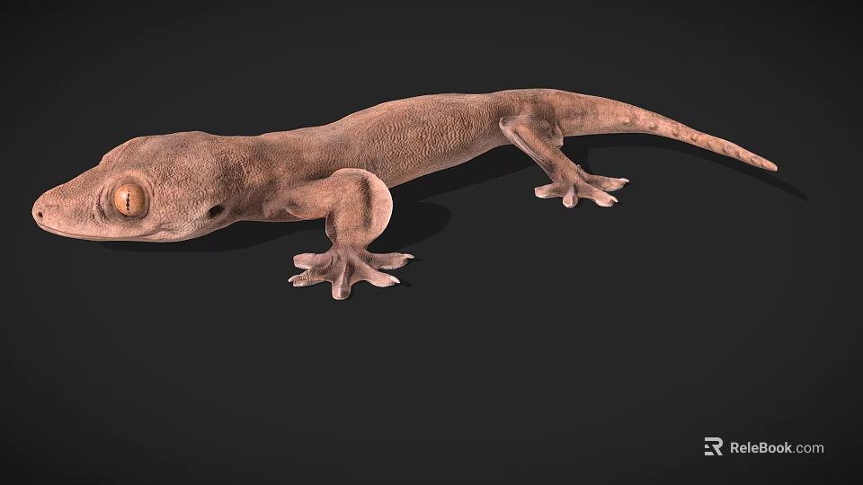 Detailed Brown Gecko Game and Movie Character 3D Model with Large Eyes on Black Background 3d model 