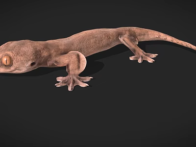 Detailed Brown Gecko Game and Movie Character 3D Model with Large Eyes on Black Background 3d model