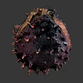 Spiky Folded Purple Red Brown Object With Textured Organic Surface And Intricate Details