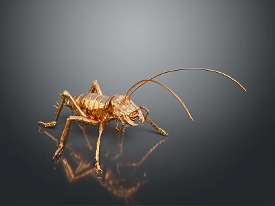 Golden Cricket Sculpture With Long Antennae On Black Background And Reflection 3d model
