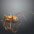 Golden Cricket Sculpture With Long Antennae On Black Background And Reflection