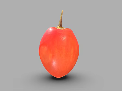 Single Fresh Red Pear Shaped Vegetable with Small Stem on Grey Background 3d model