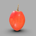 Single Fresh Red Pear Shaped Vegetable with Small Stem on Grey Background 3d model