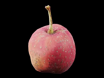 Fresh Pink Apple With White Spots And Stem On Black Background 3d model