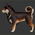 Shiba Inu 3D Model with Brown and White Fur Standing on Dark Background with Reflection