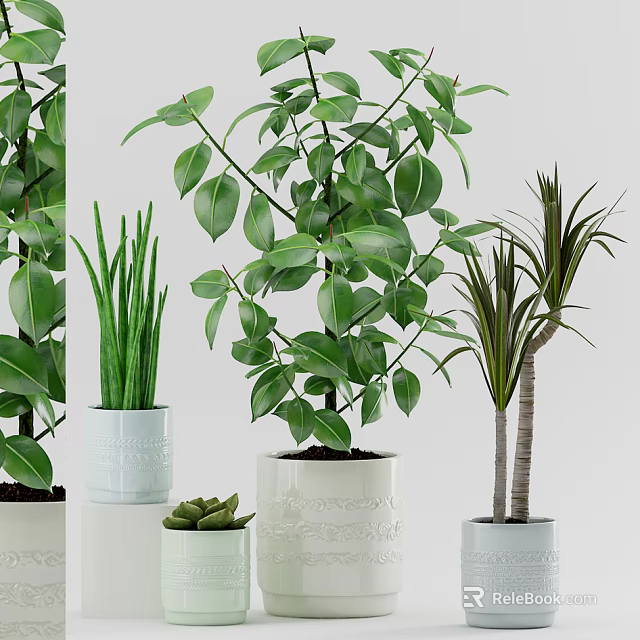 Various Green Potted Plants In Decorative Ceramic Pots For Indoor Decor 3d model 