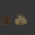 Natural Decorative Household Items With Dried Grass Twigs And Fallen Leaves