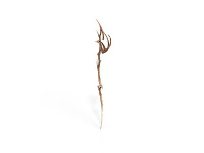 Dried Plant with Slender Stem and Curled Leaves on White Background 3d model