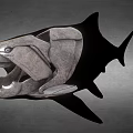 Aquatic Animal Shark 3D Model With Mechanical Detailed Open Mouth Structure