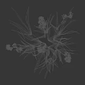White Flowers With Long Green Leaves On Growing Plant Stems