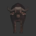 Realistic African Buffalo 3D Model With Large Horns And Shiny Floor