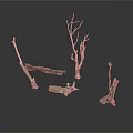 Natural Dry Plant Branches In Various Shapes With Brown And White Textures On White Background