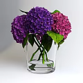 Decorative Glass Vase With Fresh Pink And Purple Hydrangea Flowers And Green Leaves