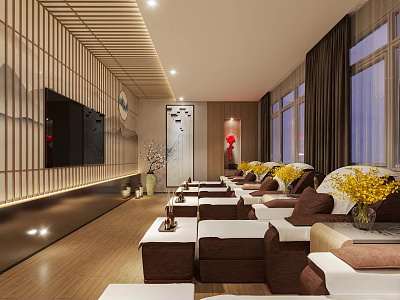 SPA Sauna Interior Design With Comfortable Massage Beds Fresh Flowers TV And Large Windows 3d model