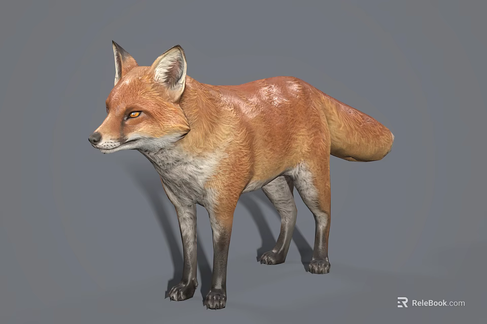 Reddish Brown Fox With Pointed Ears And Bushy Tail In 3D Render 3d model 