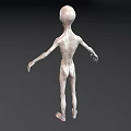 Gray Humanoid Alien Creature 3D Model With Thin Limbs And Large Eyes
