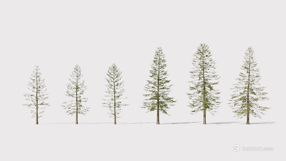 Row of Tall Arbor Trees With Slender Trunks And Green Foliage In Snowy Landscape 3d model 
