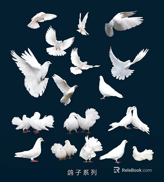 White Flying Pigeons in Different Poses Flying and Standing Against Dark Background 3d model 