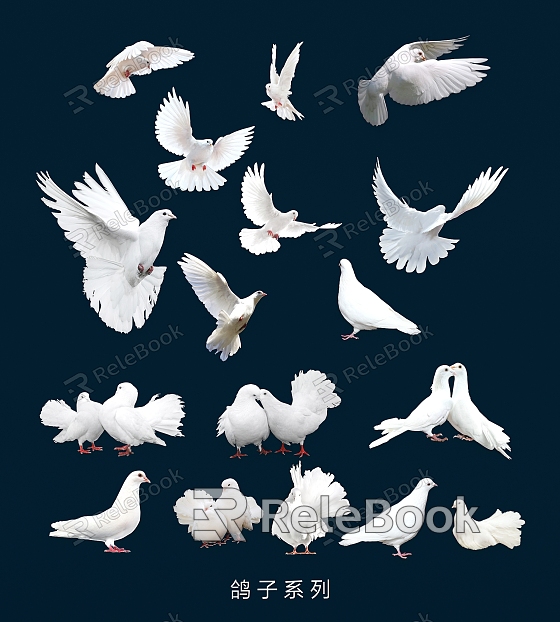 birds dove peace dove white pigeon carrier pigeon flying pigeon model