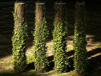 Green Ivy Covered Tree Trunks With Sunlight And Grass In Outdoor View 3d model