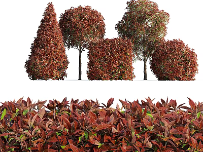 Decorative Shrubs with Red Green Leaves Various Shapes for Landscape Design 3d model