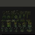 Diverse Agricultural Crop Plants With Green Foliage And Multiple Growth Stages