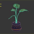 Vibrant Green Leafy Plant in Blue Pot with Orange Decorative Patterns