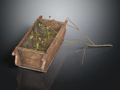 Green Plants Growing in Wooden Rectangular Container With Small Fruits and Dried Branch 3d model