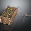 Green Plants Growing in Wooden Rectangular Container With Small Fruits and Dried Branch