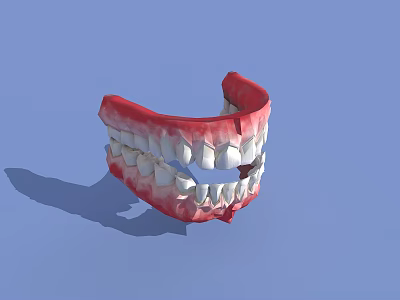 3D Model of Human Teeth with Red Gums and White Enamel Anatomical Structure 3d model 3D Model of Human Teeth with Red Gums and White Enamel Anatomical Structure 3d model
