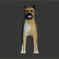 Light Brown Dog With White Patches 3D Model Standing On Shiny Reflective Gray Gradient Floor