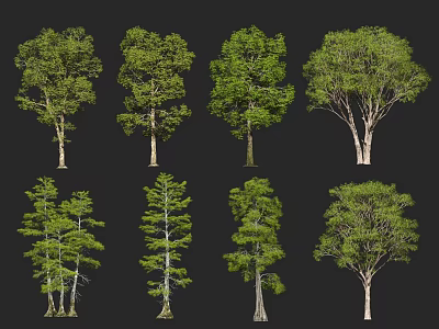 Various Types of Green Leafy Trees with Different Trunk Shapes and Lush Foliage Canopies 3d model