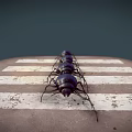 Four Dark Colored Beetles Walking On A Weathered Zebra Crossing Surface 3d model